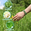 mosquito-repellent-bracelets-2-pack-sili-2.jpg