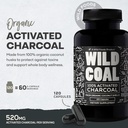 wild-foods-activated-charcoal-capsules-1-4.jpg