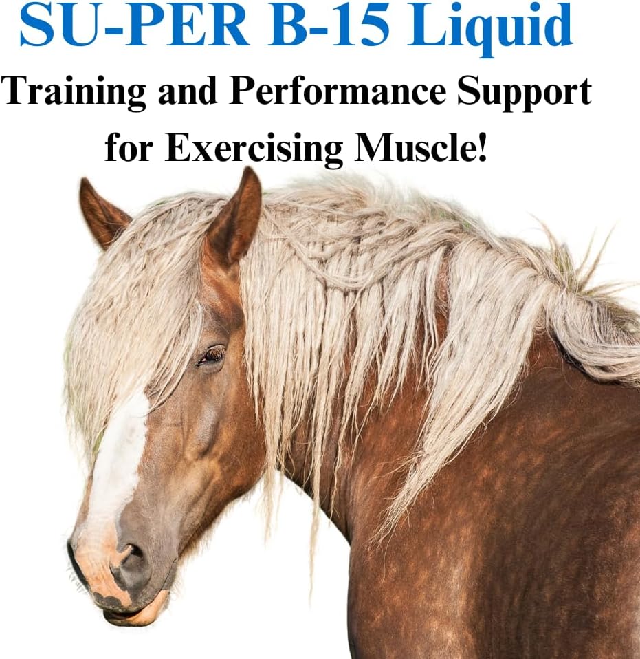 su-per-b-15-vitamin-supplement-for-horse-3.jpg