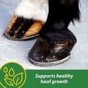 farnam-hb-15-hoof-supplement-supports-he-2.jpg