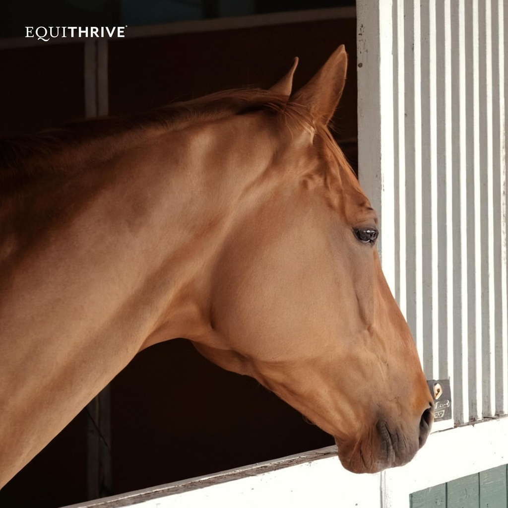 equithrive-vitamin-e-pellets-for-horses--5.jpg