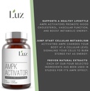 luz-ampk-activator---research-based---90-5.jpg