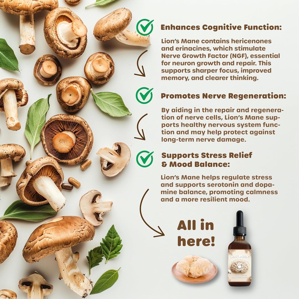 lions-mane-tincture-organic-brain-focus--2.jpg
