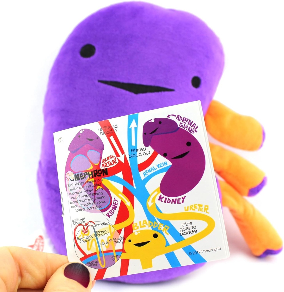 i-heart-guts-kidney-plush-9-educational--6.jpg