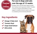 vet-classics-allergy-skin-coat-support-p-5.jpg