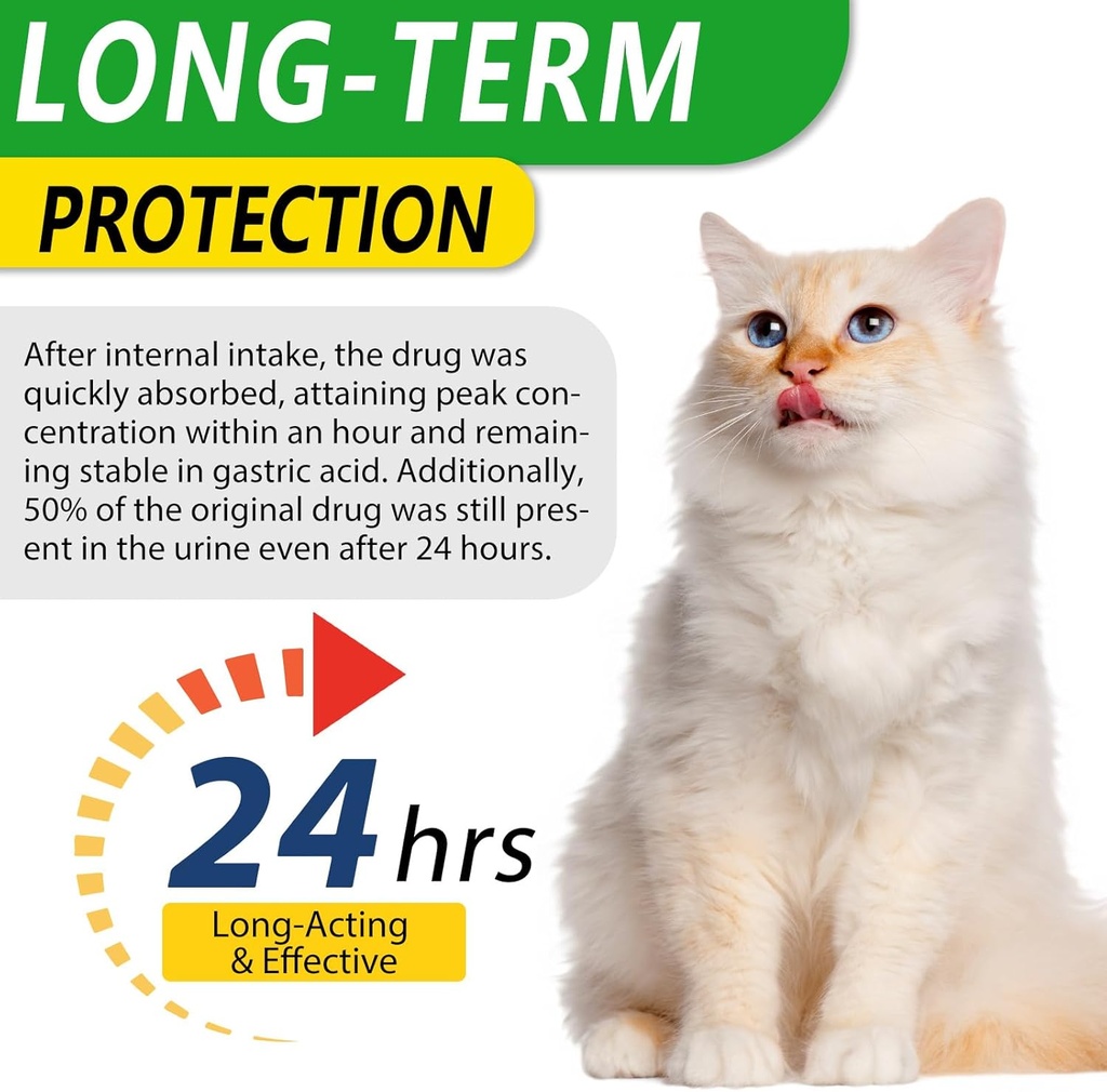 antibiotics-for-cats-natural-antibiotic--2.jpg
