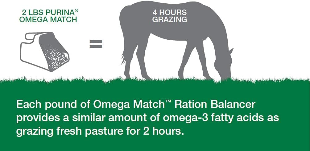 purina-omega-match-ration-balancing-hors-5.jpg