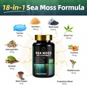 shilajit-for-men-sea-moss-and-shilajit-b-5.jpg