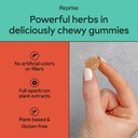 focus-gummies-with-american-ginseng-kore-4.jpg