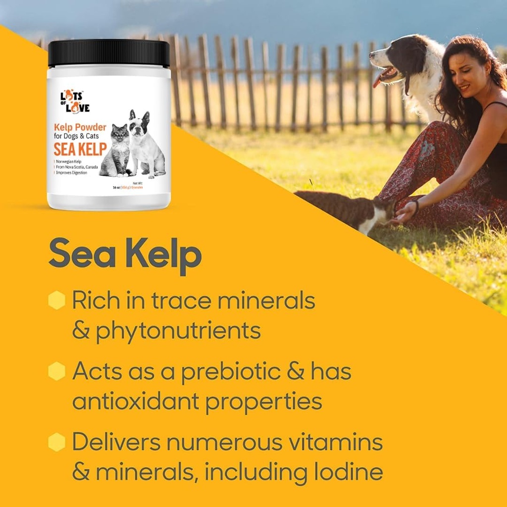 kelp-powder-for-dog-cat---organic-sea-ke-6.jpg