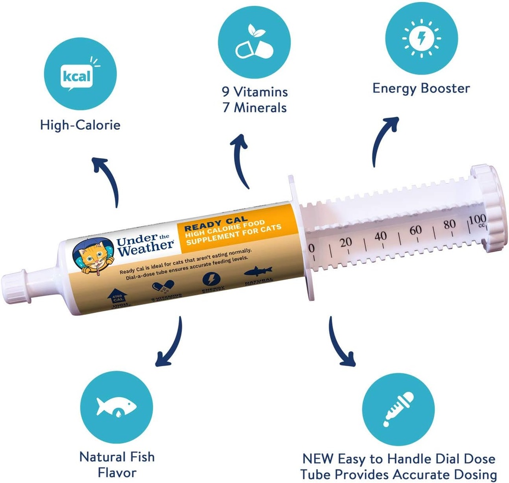 under-the-weather-pet-ready-cal-for-cats-2.jpg