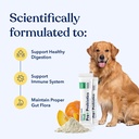 honest-paws-probiotics-for-dogs---dog-di-2.jpg