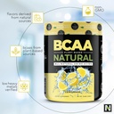 nutrology-bcaa-natural-plant-based-bcaa--5.jpg