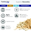 superior-labs-boswellia-serrata-extract--5.jpg