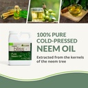 neem-bliss-25-gallons---pure-neem-oil-co-2.jpg