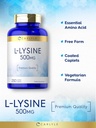 carlyle-l-lysine-250-tablets-4.jpg