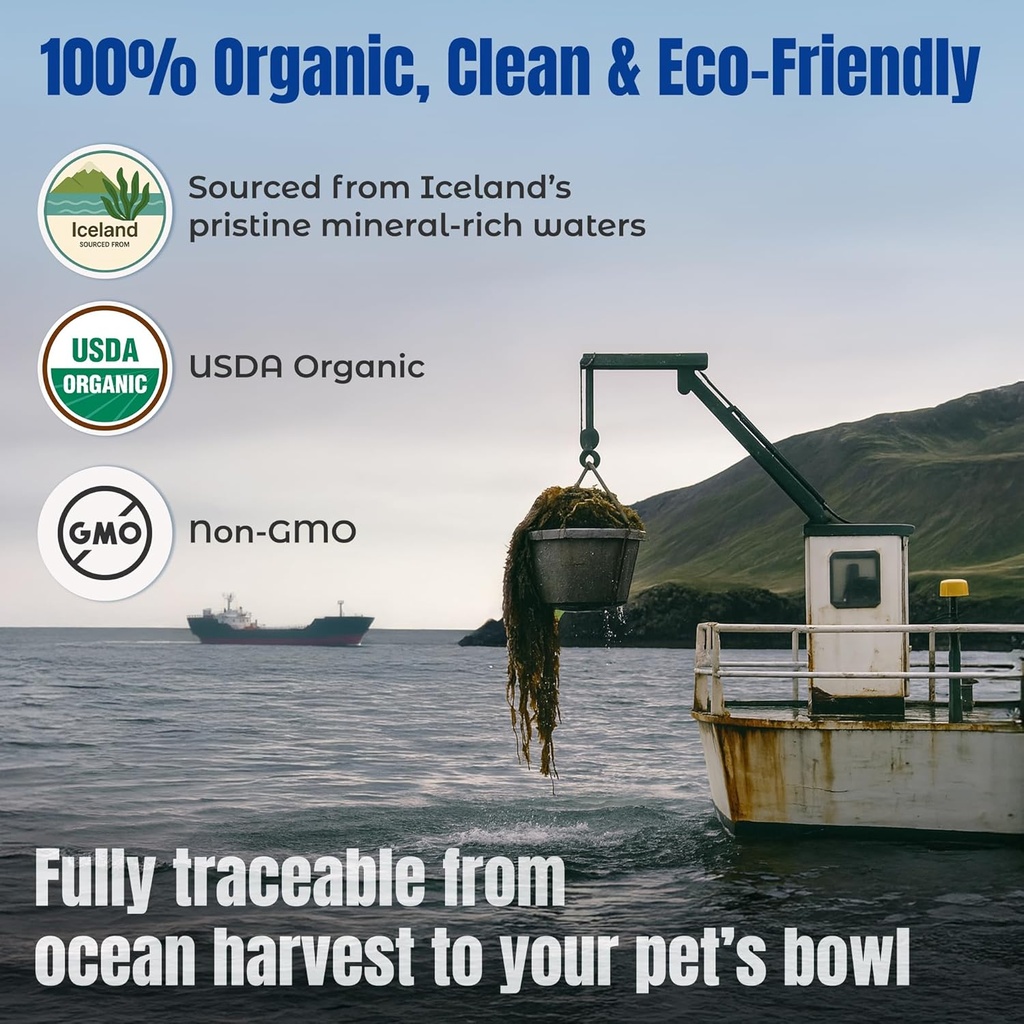 life-line-certified-organic-ocean-kelp-s-5.jpg