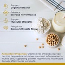 premier-research-labs-premier-creatine---4.jpg