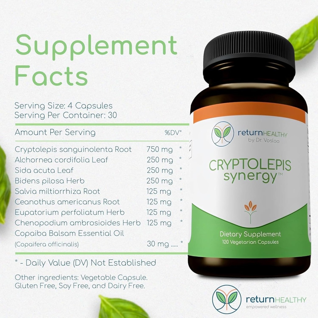cryptolepis-synergy-immune-support-vitam-5.jpg