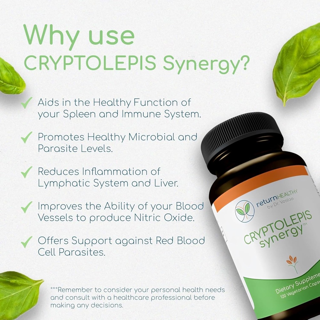 cryptolepis-synergy-immune-support-vitam-6.jpg