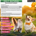 cat-dog-urinary-tract-infection-treatmen-4.jpg