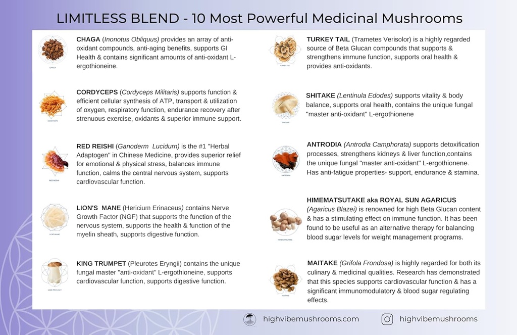 highvibe-mushrooms-limitless-mushroom-po-3.jpg