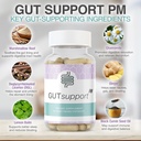 ibdassistTM-gut-support-pm---nighttime-g-5.jpg
