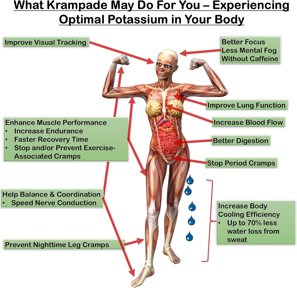 krampade-potassium-magnesium-supplement--3.jpg