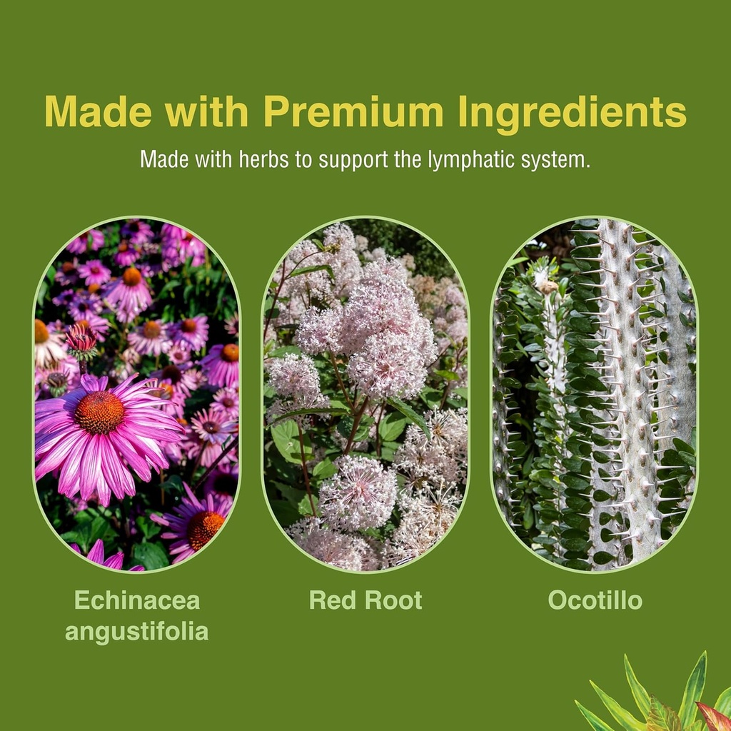 herbs-etc-lymphatonic-sg-60-ct-6.jpg