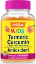 wellyeah-turmeric-curcumin-kids-b-comple-2.jpg
