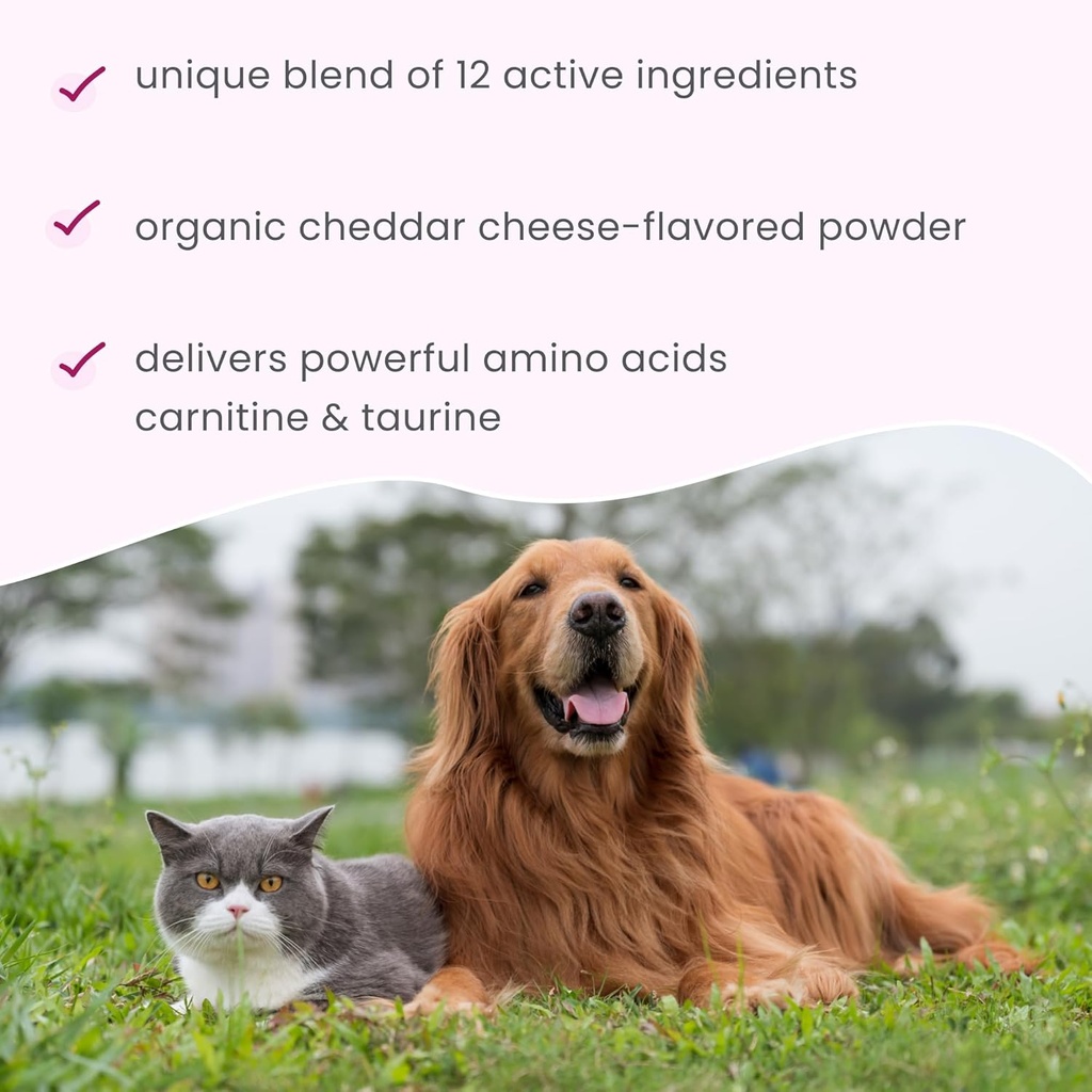 bark-whiskers-heart-health-for-dogs-cats-5.jpg