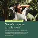 gaia-herbs-rhodiola-rosea---stress-suppo-5.jpg