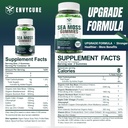 1pack-sea-moss-gummies-sugar-free-extra--2.jpg