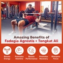 asquared-nutrition-fadogia-agrestis-1000-4.jpg