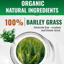 naveta-barley-grass-powder-100-pure-orga-2.jpg