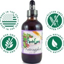 herb-lore-astragalus-tincture-liquid-ast-3.jpg