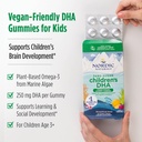 nordic-naturals-zero-sugar-childrens-dha-6.jpg
