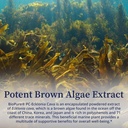 biopure-pc-ecklonia-cava-potent-brown-al-5.jpg