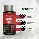 horse-fire-tablets-for-men-ayurvedic-med-3.jpg