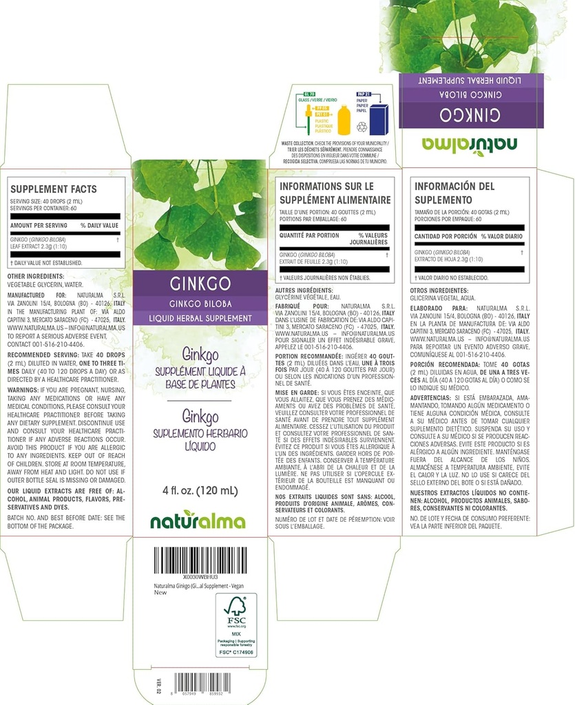 naturalma-ginkgo-ginkgo-biloba-leaf-alco-2.jpg