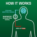 biofreeze-menthol-pain-relieving-gel-col-6.jpg