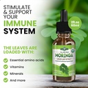 pura-vida-moringa-leaf-extract-liquid-dr-2.jpg