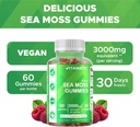 vitamatic-3-pack-irish-sea-moss-gummies--5.jpg