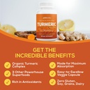 paleovalley---organic-turmeric-complex---5.jpg