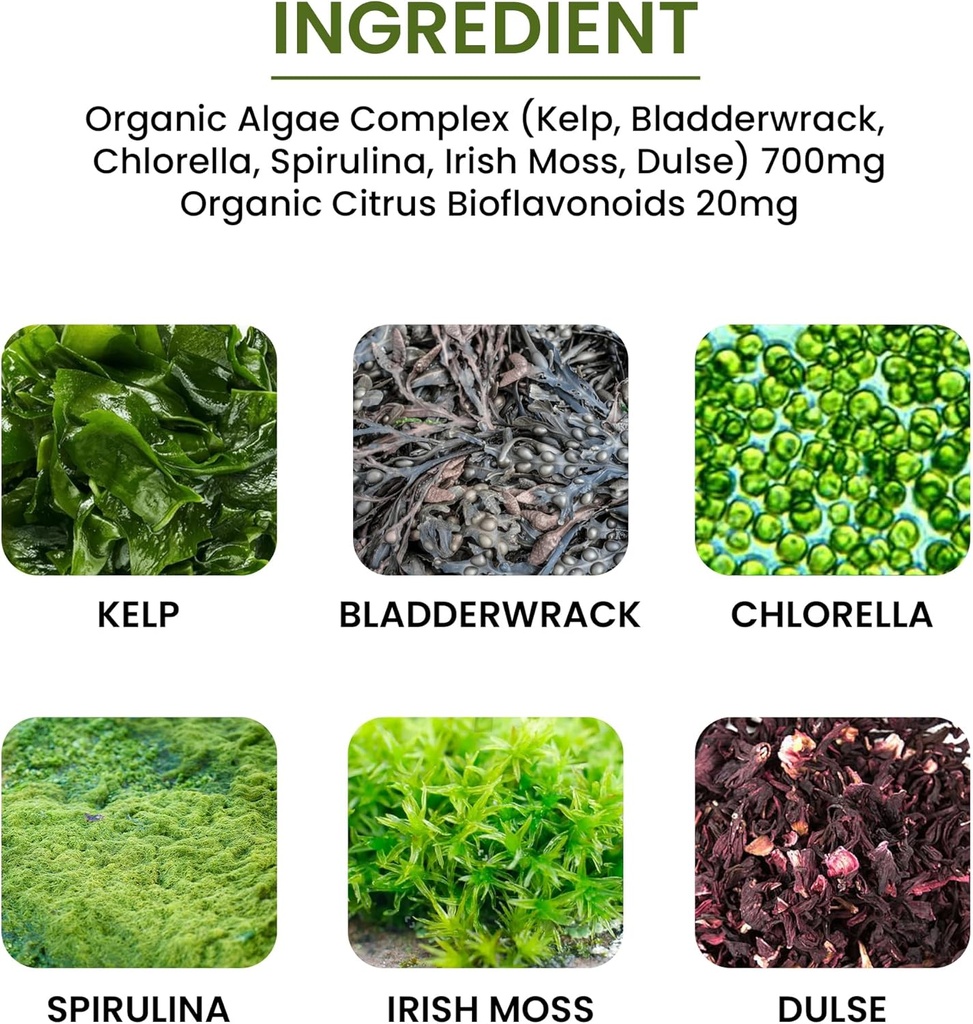algae-fucoidan-blue-green-algae-kelp-bla-4.jpg