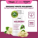 organic-mulberry-leaf-fruit-extract-for--2.jpg