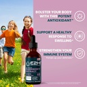 e2h-elderberry-syrup-powerfull-antioxida-2.jpg