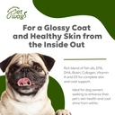 allergy-itch-relief-for-dogs-skin-coat-s-3.jpg