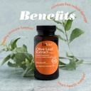 invite-health-olive-leaf-extract---provi-3.jpg