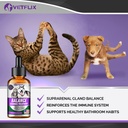 pet-adrenal-support-for-dogs-cats---made-3.jpg